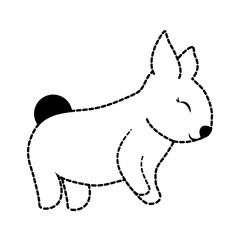 rabbit animal icon
