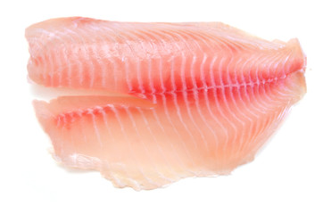 Tilapia fillet, fresh water fish, isolated on white background
