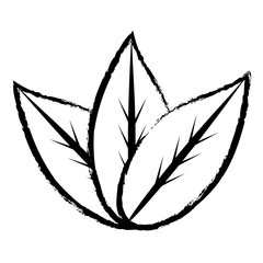 leaves icon image