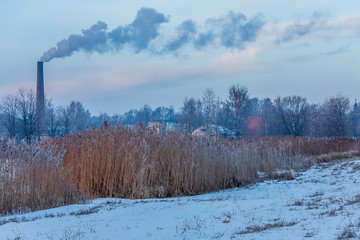 winter views of the pond with reeds. Frost on reed. Reed in close-up. Reed photos in the sunrise. Reed photos on the sunset.