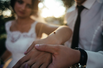 Obraz na płótnie Canvas Groom holds bride's hand with a bug