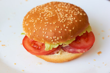 School lunch. Appetizing hamburger on a white plate.