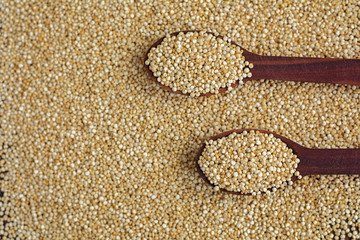 Kinoa seeds in wooden spoons on wooden table