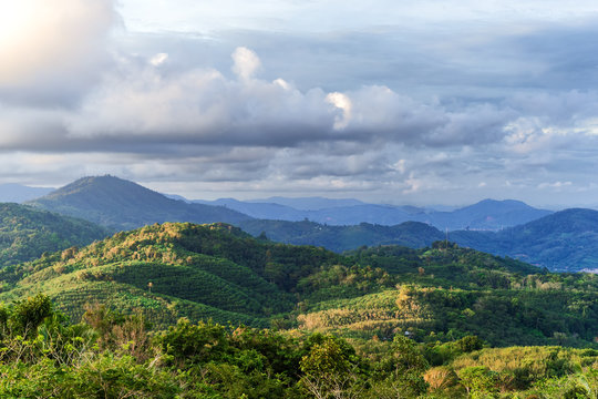 Picturesque view of the hills and forests of Phuket, Thailand