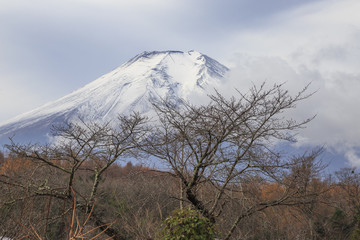 View of mount Fuji with snow from Oshino Hakkai ancient village 