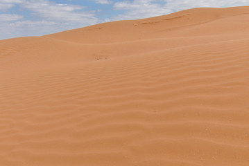 untouched yellow sand on the slopes of barchans in the desert between Kalmykia and Astrakhan region