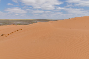 Fototapeta na wymiar slopes of orange sand dunes in the desert Republic of Kalmykia