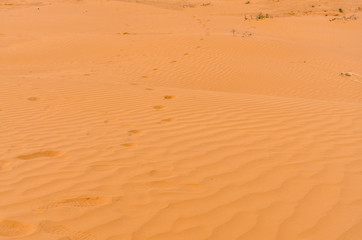 Fototapeta na wymiar untouched yellow sand on the slopes of barchans in the desert between Kalmykia and Astrakhan region