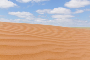 untouched yellow sand dunes and blue sky in the desert between Kalmykia and Astrakhan region