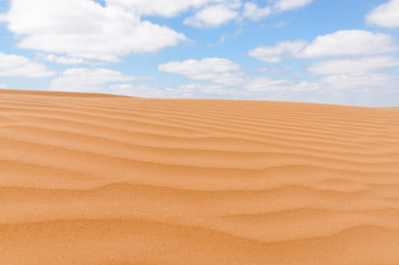untouched yellow sand dunes and blue sky in the desert between Kalmykia and Astrakhan region