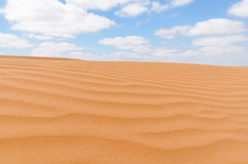 Fototapeta na wymiar untouched yellow sand dunes and blue sky in the desert between Kalmykia and Astrakhan region