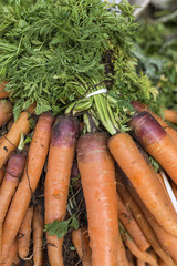 Fresh fruits and vegetables.carrots