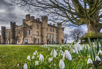 Snowdrops at the House of the Binns