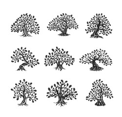 Huge and sacred oak tree silhouette logo isolated on white background.
