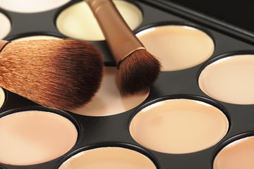 Palette for makeup and two cosmetic brushes