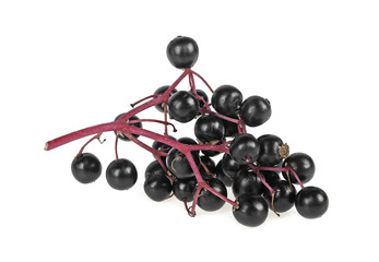 Black elderberry fresh fruit isolated on white background