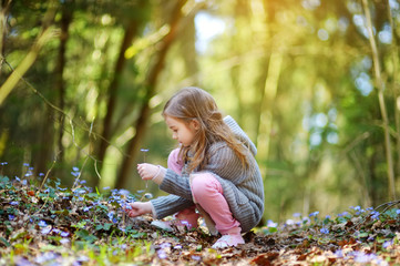 Adorable little girl picking the first flowers of spring in the woods on beautiful sunny spring day