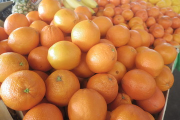 oranges
