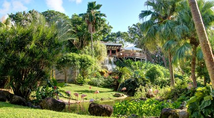 jardin exotique et cascade de la Guadeloupe