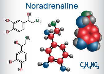 Fototapeta Noradrenaline (NA, norepinephrine , NE )  molecule .  It is a hormone and neurotransmitter. Structural chemical formula and molecule model obraz