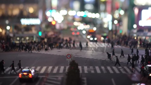 Shibuya Crossing in the Evening (real time)