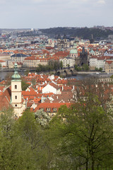 Fototapeta premium View on the spring Prague City with the green Nature and flowering Trees, Czech Republic