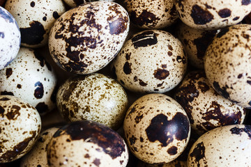 Fototapeta premium Quail eggs in a clay plate on a wooden background, a plate for storing quail eggs, a symbol of the Easter season. Healthy eating.