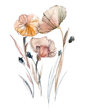 Fototapeta Flowers watercolor illustration in pastel colors. Elegant hand-painted composition.
