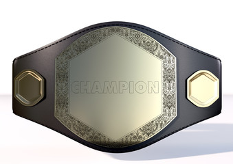 3D Championship  Belt