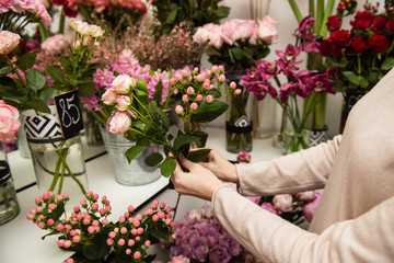 Female hands in shop with flower background