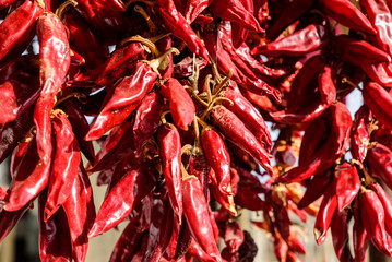 Organic Red Peppers and Chilies hanging to dry outside of home.