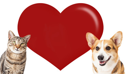 Happy Dog and Cat Blank Valentine Heart