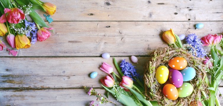 Ostern - Hintergrund Panorama - Nest mit Eiern auf Holz - Vintage