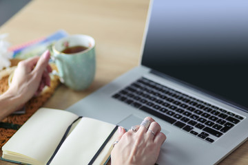 Young woman on a coffee break or enjoying the coffee-break, Using laptop computer