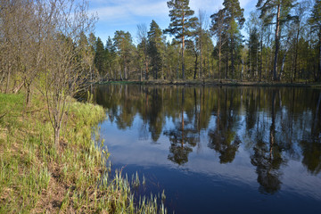 Fototapeta na wymiar Forest river in the national park of Russia is springtime.