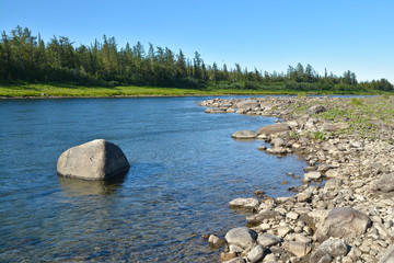 Fototapeta na wymiar Summer river landscape.