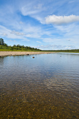 Summer river landscape.