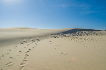 Fototapeta na wymiar Sand dunes with blue sky and sun