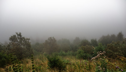 Obraz na płótnie Canvas Panorama of morning fog in mountains. Mysterious spring nature landscape, forest on mountain hill