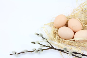 Dekoracja na Wielkanoc - niemalowane jajka i drewniana skrzynka - białe tło - obrazy, fototapety, plakaty