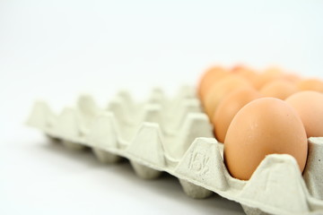 Wielkanoc - Jajka na szarym kartonie, palecie - białe tło © Cezzar