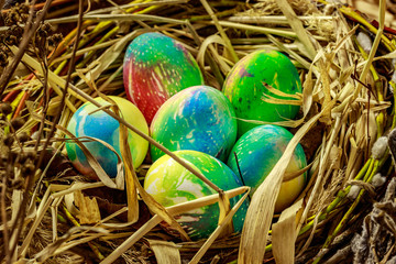 Many multi-colored Easter eggs lie in the nest. Nest of grass and branches.