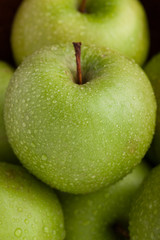 Close-up of ripe green apples covered with dew. Macro