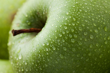 Close-up of ripe green apples covered with dew. Macro
