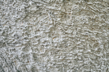 grunge gray concrete art texture background