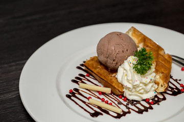 Chocolate ice cream and waffle
