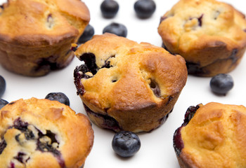Homemade Blueberry Muffins on a White Background