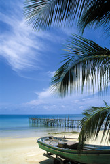 Tropical beach with palm tree, gangway and boat, Thailand