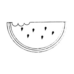 delicious watermelon slice icon vector illustration design