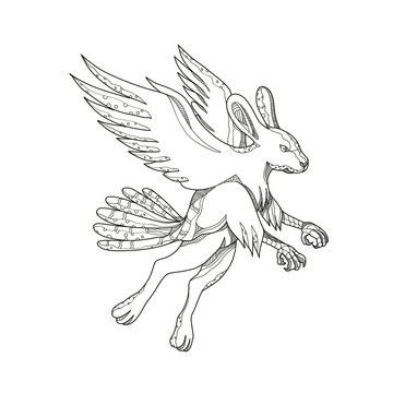 Doodle art illustration of skvader, a Swedish fictional creature with hindlegs of a European hare, and the back, wings and tail of a female wood grouse done in black and white mandala style.